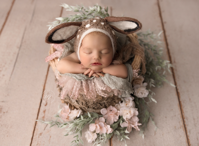 newborn portrait studio Columbus OH, Columbus OH baby photographer, baby photography near me Sudbury Ohio