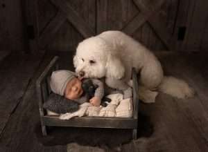 newborn portrait studio Sunbury OH, Upper Arlington OH newborn photographer, newborn photography near me