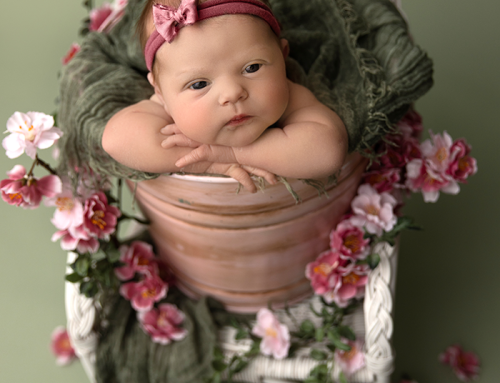 Welcome to the World, Paisley | Columbus, Ohio Newborn Session